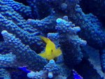 IMG_0119.jpg IMG_0119.jpg