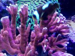 IMG_0134.jpg IMG_0134.jpg