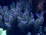IMG_0137.jpg IMG_0137.jpg