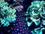 IMG_0138.jpg IMG_0138.jpg