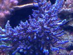 IMG_0140.jpg IMG_0140.jpg