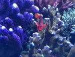 IMG_0145.jpg IMG_0145.jpg
