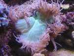 DSC01287.jpg