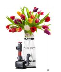 protein vase.jpg