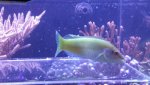 20151002_103048.jpg
