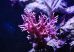 DSC_0310.jpg DSC_0310.jpg