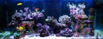 DSC_0552 FB.jpg