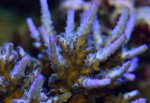 10-13-2015_4_4.jpg