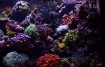 10-13-2015_3_3.jpg