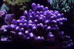 10-13-2015_5_5.jpg