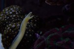 10-13-2015_6_6.jpg