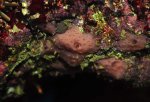 DSC_2871.jpg