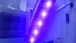 IMG-20160131-WA0007.jpg IMG-20160131-WA0007.jpg