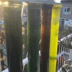 2016-01-18 09.31.54.jpg