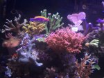 image.jpg image.jpg