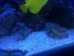 IMG_1339.jpg