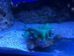 IMG_1340.jpg