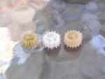 biofilm.png