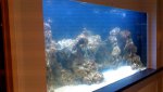 DSC_1634.jpg