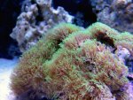 DSC09397.jpg