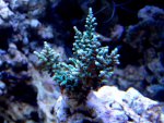 DSC09386.jpg