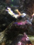 2016-03-26 21.15.38.jpg
