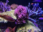 IMG_0614.jpg