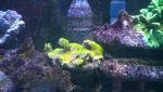 WP_20160404_21_44_20_Pro.jpg WP_20160404_21_44_20_Pro.jpg
