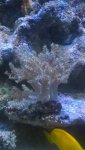 WP_20160404_21_44_30_Pro.jpg WP_20160404_21_44_30_Pro.jpg