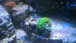WP_20160404_21_45_03_Pro.jpg WP_20160404_21_45_03_Pro.jpg