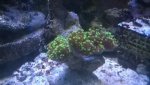 WP_20160404_21_45_09_Pro.jpg WP_20160404_21_45_09_Pro.jpg