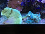 IMG_2323.jpg IMG_2323.jpg