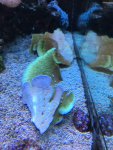 IMG_0353.jpg IMG_0353.jpg