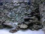 2005-01-06 17.03.17.jpg