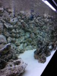 2005-01-06 17.02.30.jpg