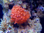 DSC09509.jpg