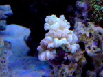 DSC09514.jpg
