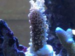 IMG_1224.jpg