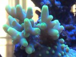 IMG_1226.jpg