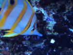 IMG_1234.jpg