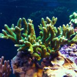 20160504_174235.jpg