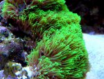 DSC09742.jpg