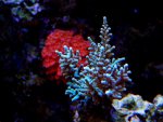 DSC09749.jpg