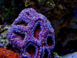 DSC09754.jpg