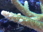 IMG_1252.jpg