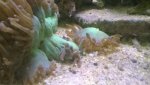WP_20160527_16_38_46_Pro.jpg WP_20160527_16_38_46_Pro.jpg