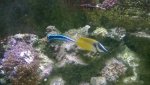 WP_20160525_17_53_07_Pro.jpg WP_20160525_17_53_07_Pro.jpg