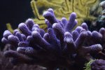 DSC_0748.jpg
