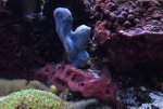 DSC_0805.jpg