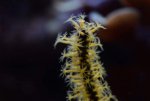 DSC_0808.jpg